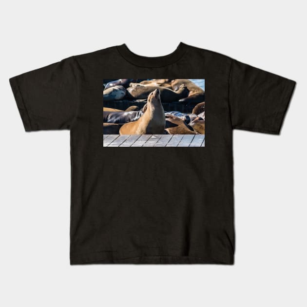 Brown and Tan Sea Lion Kids T-Shirt by KensLensDesigns